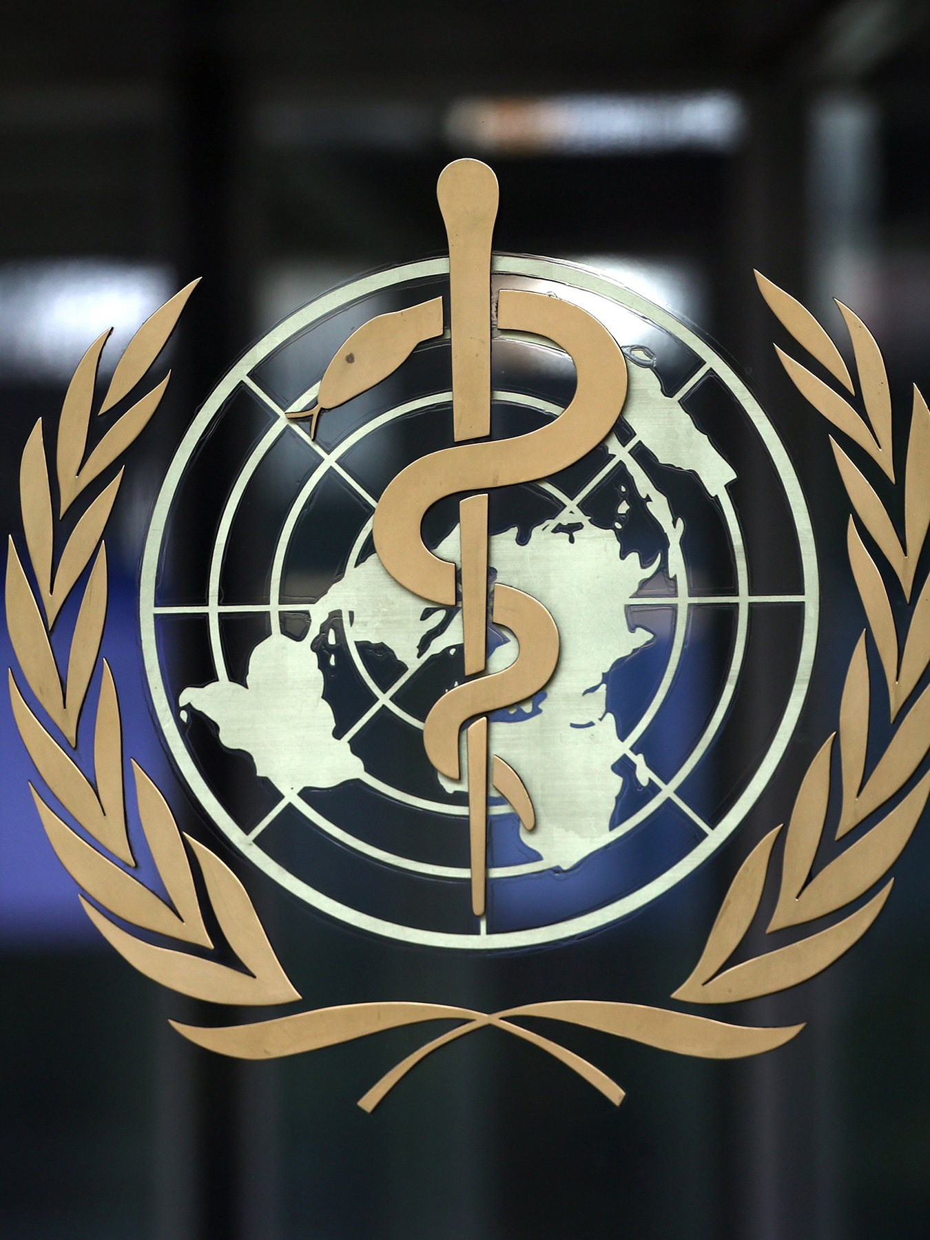 What is the World Health Organization (WHO)?