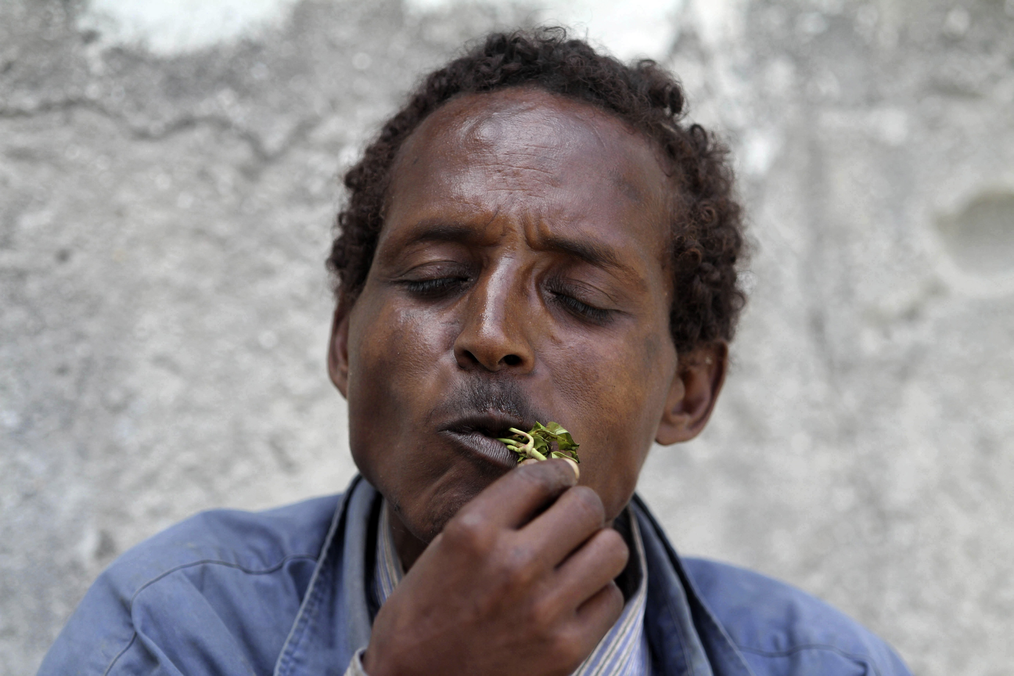 Somaliland’s Khat Conundrum | Think Global Health